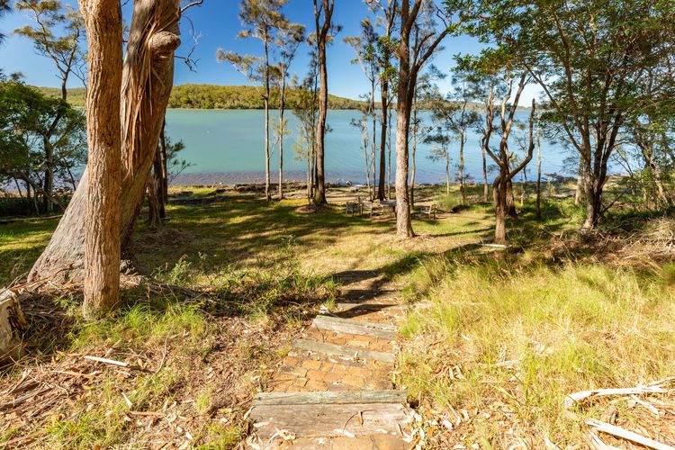 Pathway to Lake