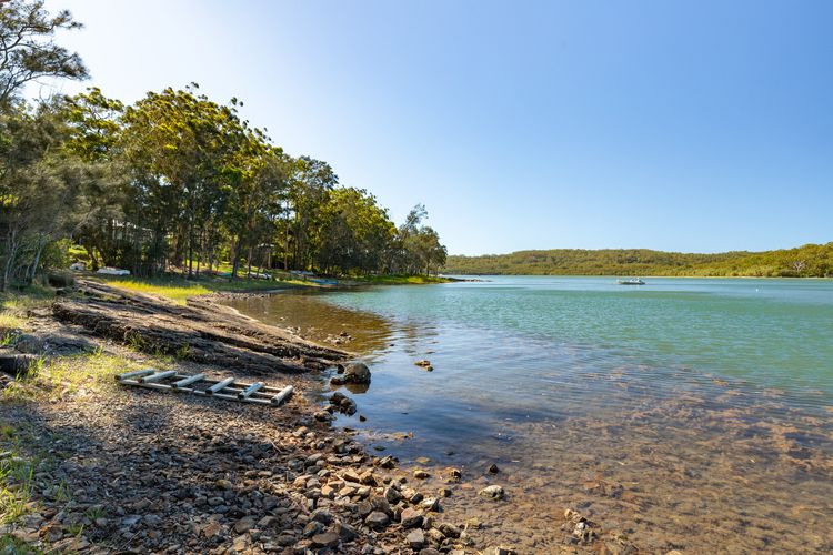 Lakefront with Trees and Shoreline