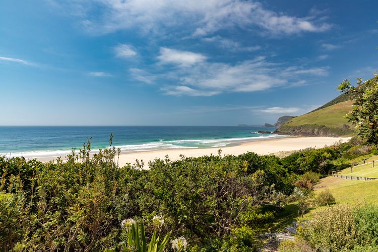 Scenic Ocean and Beach View