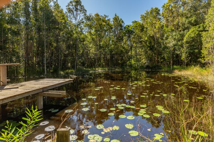 Pond Deck
