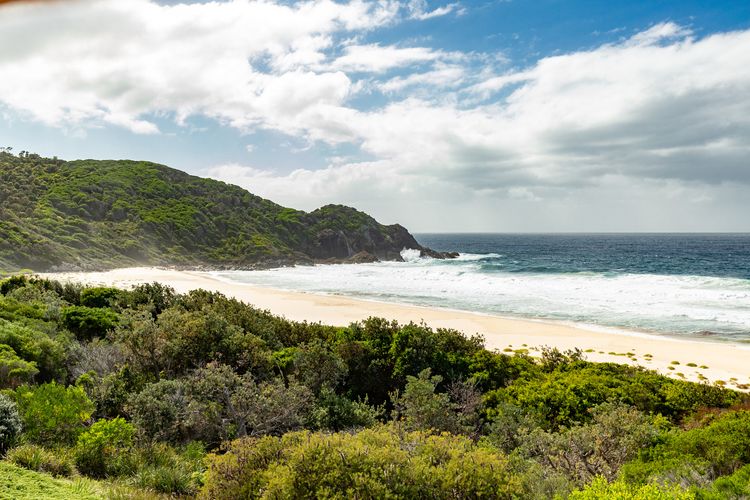 Scenic Ocean and Headland View