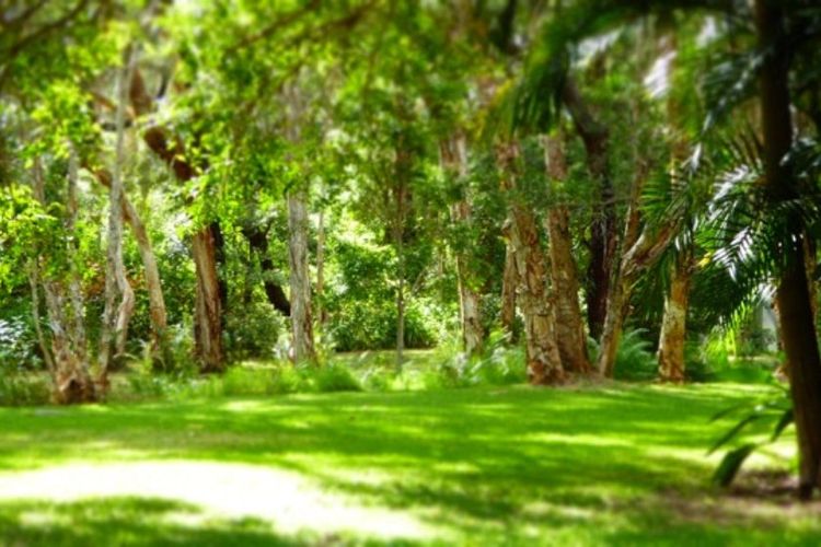 Boomerang Hideaway – Tranquil Acreage