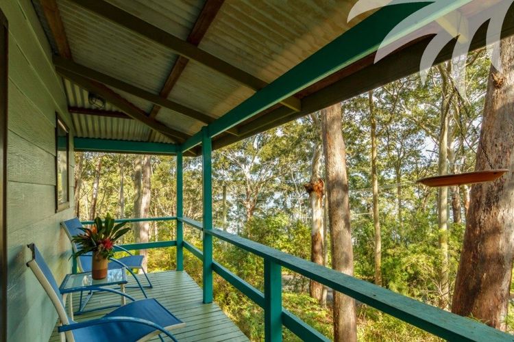 Green Deck View