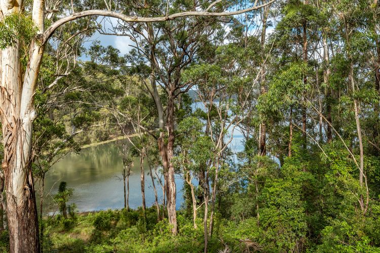 Lake View from Property
