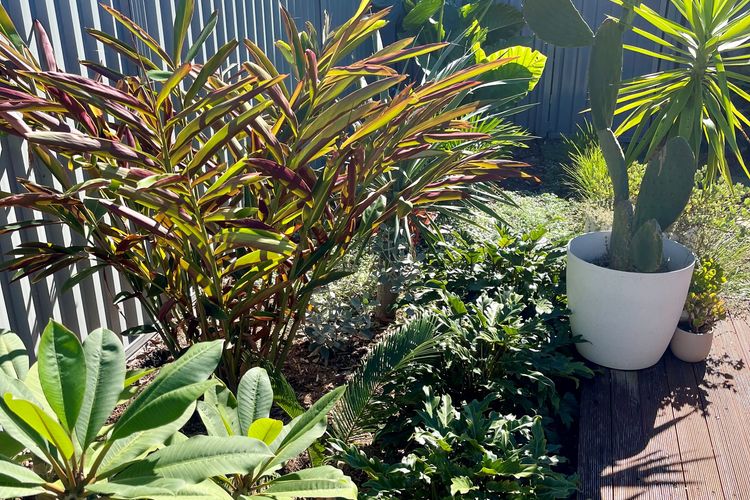 MARLIN WATERS 6: 6/8 Narira Street Holiday Unit , walk to beach and river, Bermagui