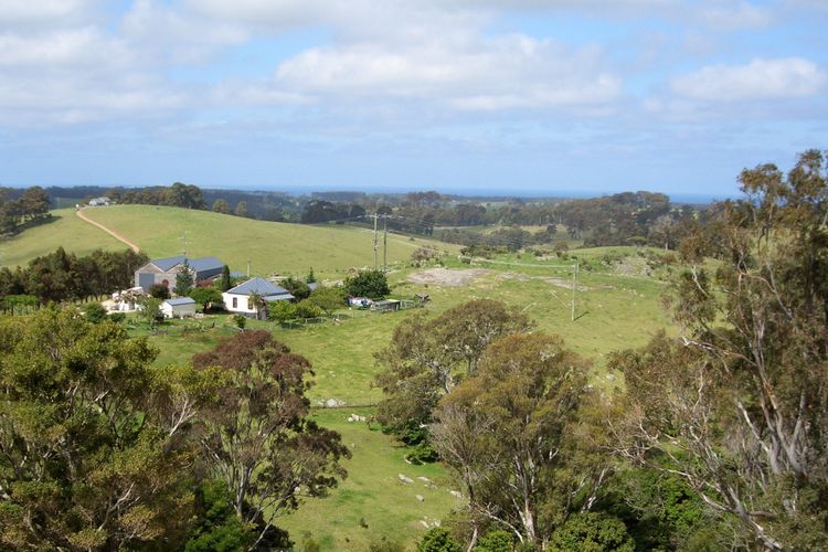 TILBA HEIGHTS: 37 Punkalla-Tilba Road- Central Tilba