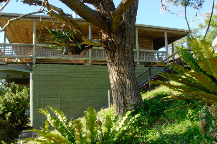 TILBA HEIGHTS: 37 Punkalla-Tilba Road- Central Tilba