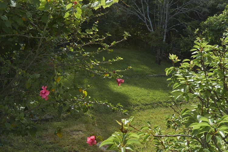 WALLAGA LAKE ROAD, 3 Holiday beach house, Wallaga Lake Heights – Linen, Wifi