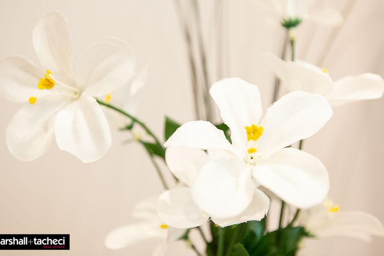 BERMAGUI JEWEL:  91 Murrah St Bermagui 5 Bdrm Uninterrupted views, central location Bermagui