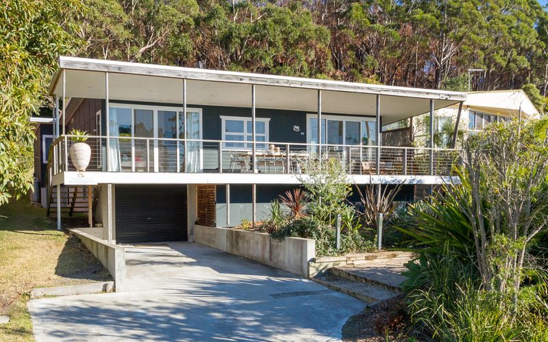 Palmwood at Hyams Beach