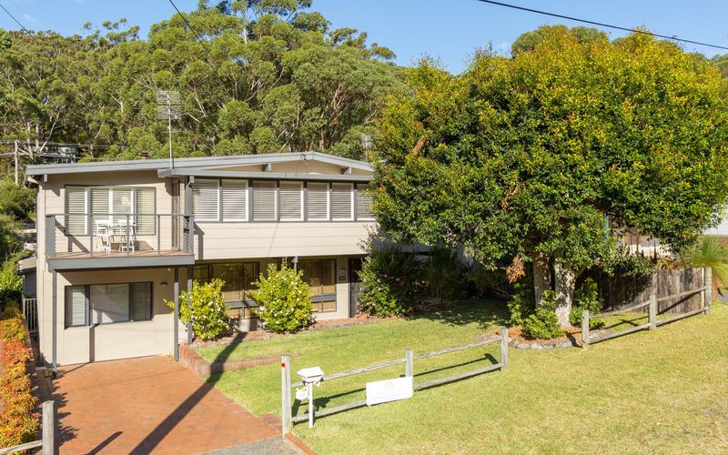 Shanti at Hyams Beach