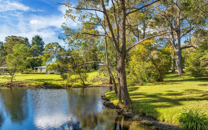 Little Forest, Alpine, Southern Highlands