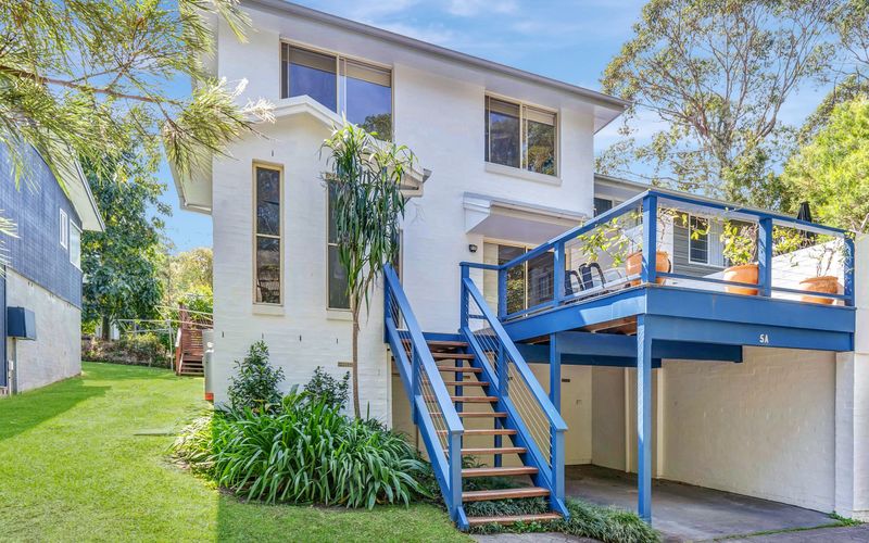 Black Wattle at Hyams Beach