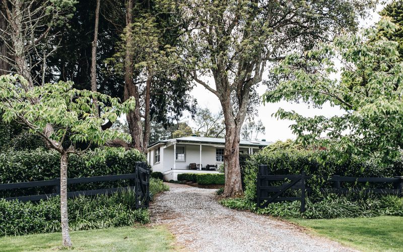 Daisy Hill, Southern Highlands