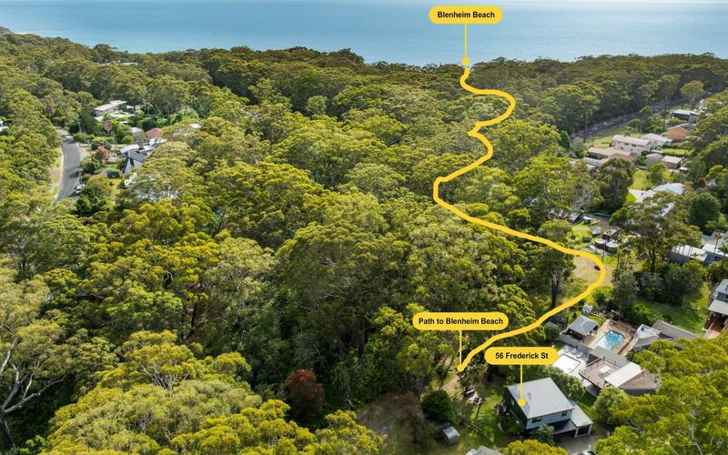 Bush Baby at Blenheim Beach, Vincentia