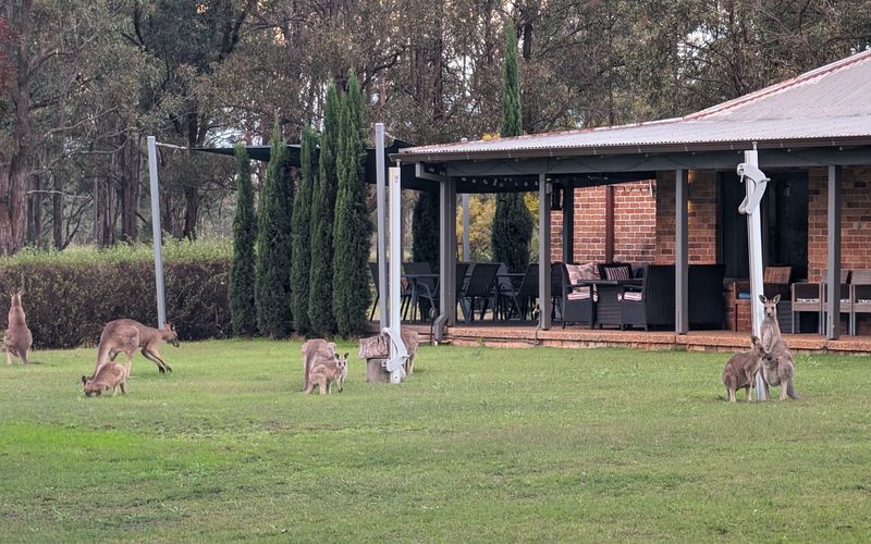 Blaxlands Kangaroo Homestead with Hot Tub walk to Concerts and Wineries