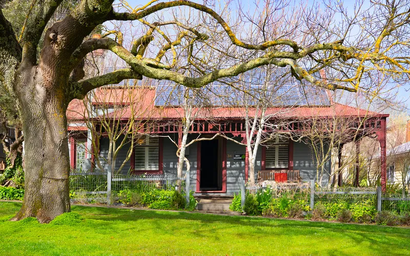 Maple Daylesford
