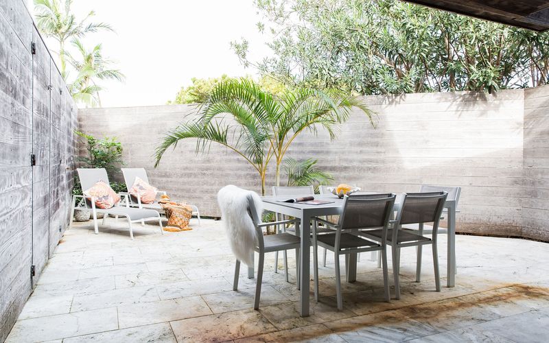 The Coconut Palm TWO