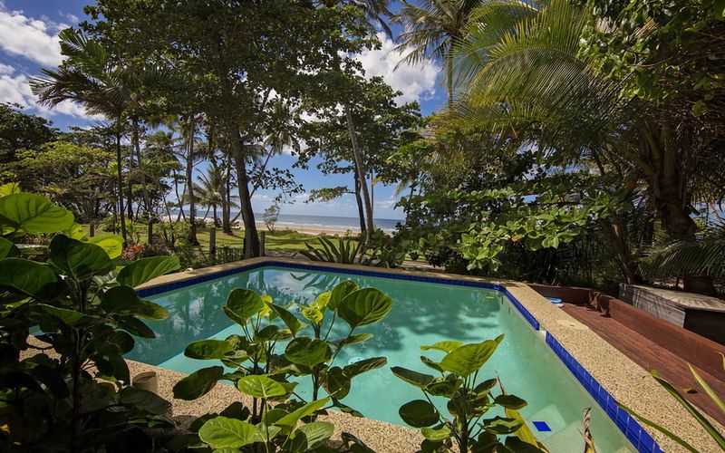 Gecko s Cottage