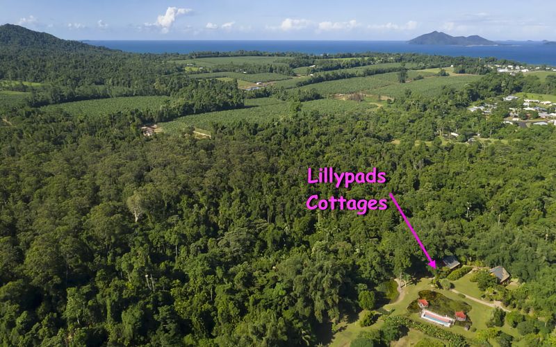 Lillypads Yellow Cottage