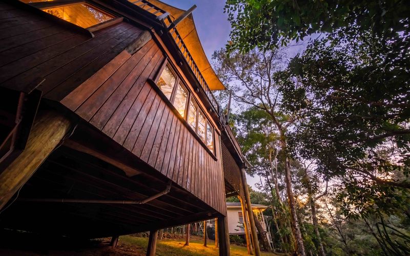 The Rainforest Nook