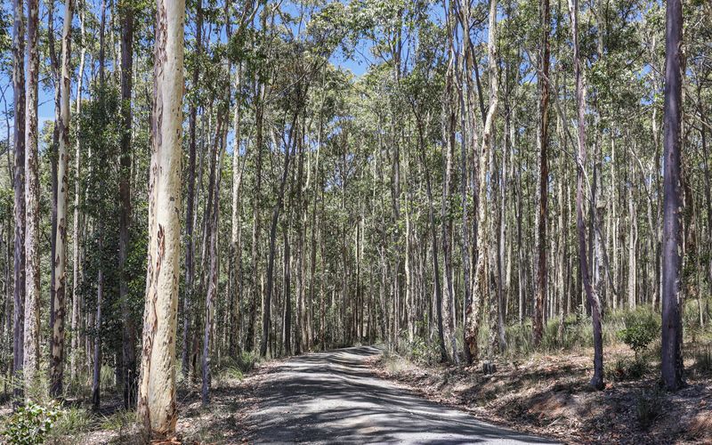 613 Tathra Bermagui Road, Nelson