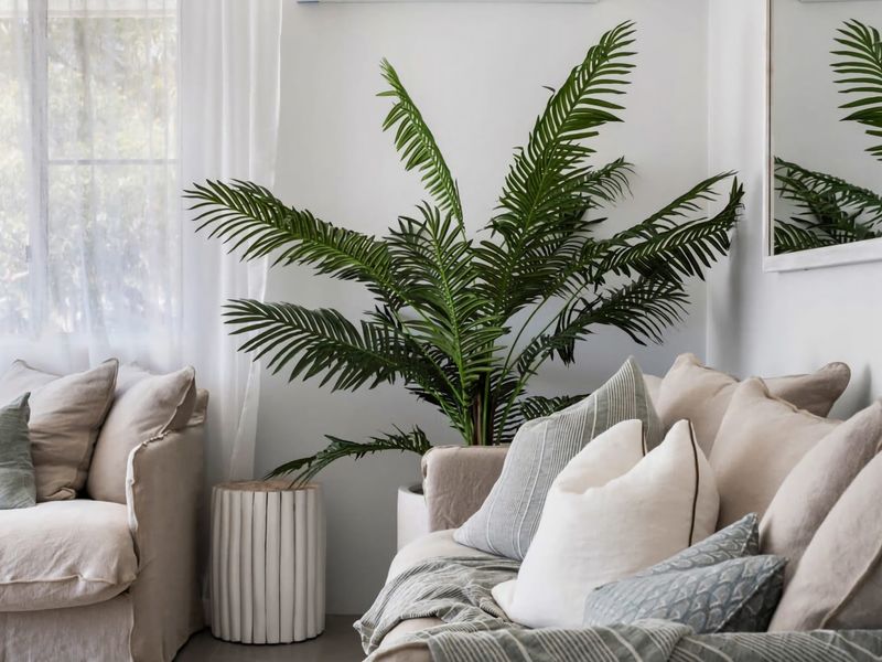 The Nest Luxury Apartment 100m to the Beach