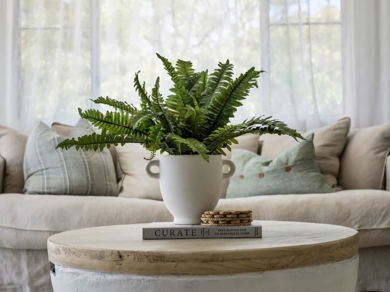 The Nest Luxury Apartment 100m to the Beach