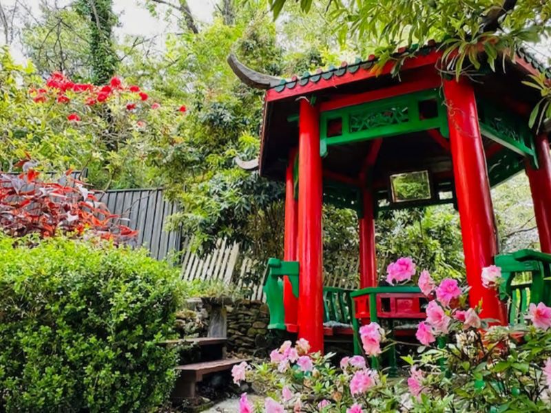 Elevated Serenity Where Views Meet Comfort