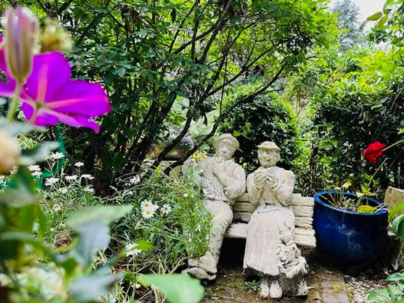 Elevated Serenity Where Views Meet Comfort