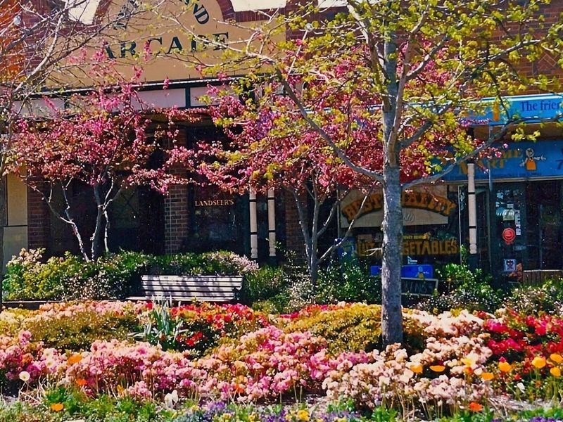 Mountain Home Leura Perfect Weekend Escape