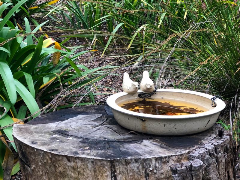 Mountain Home Leura Perfect Weekend Escape