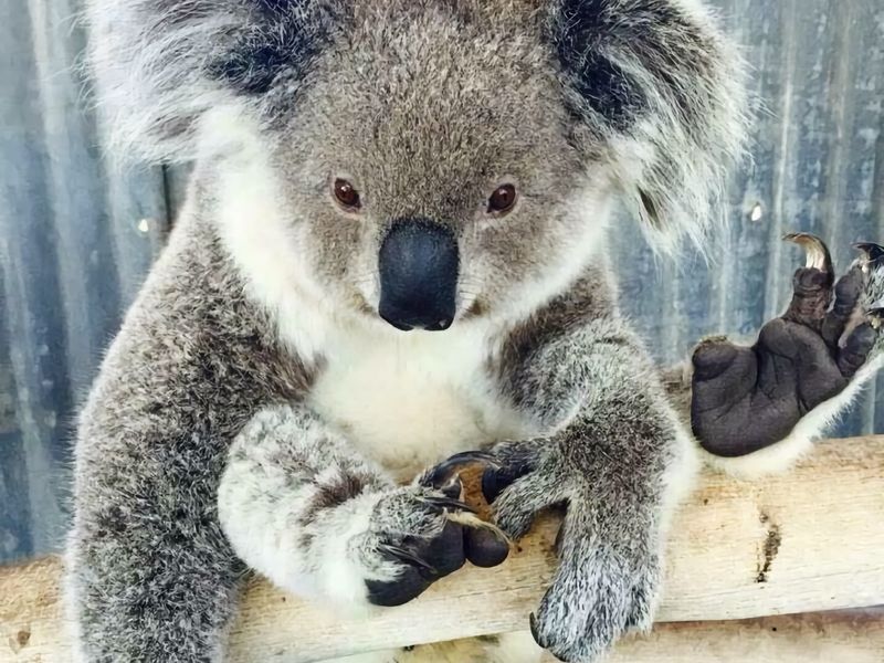 Sip and Soak Up Summer in the Hunter