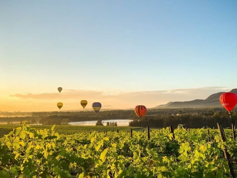 Sip and Soak Up Summer in the Hunter