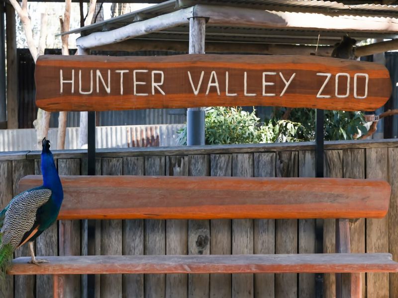 Sip and Soak Up Summer in the Hunter