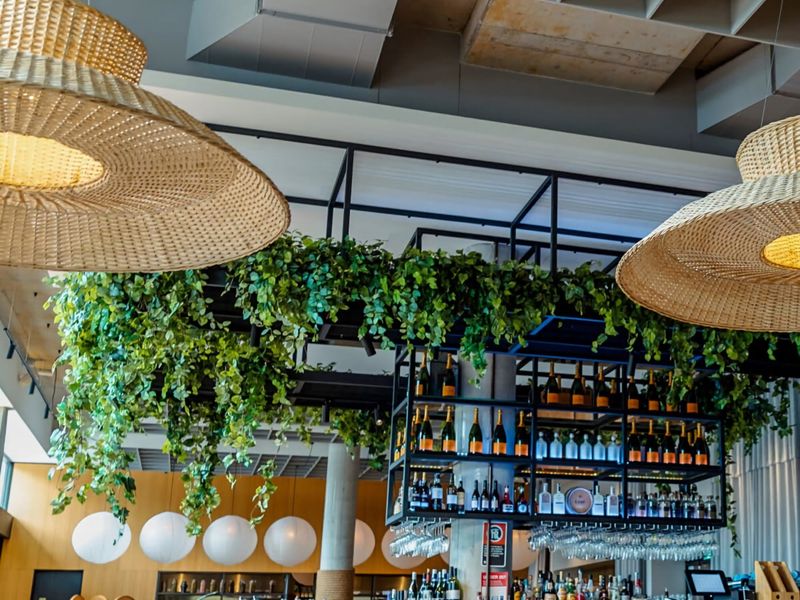 Tranquility Shores 500m to Dutchmans Beach