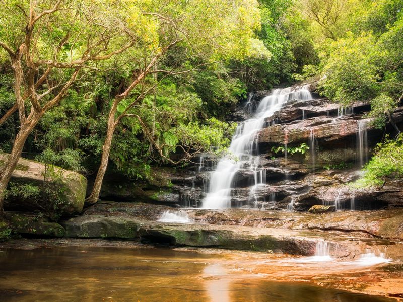 Nature’s serene waterfall escape.