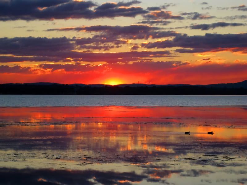 Waterfront Pet Friendly Abode Toukley NSW