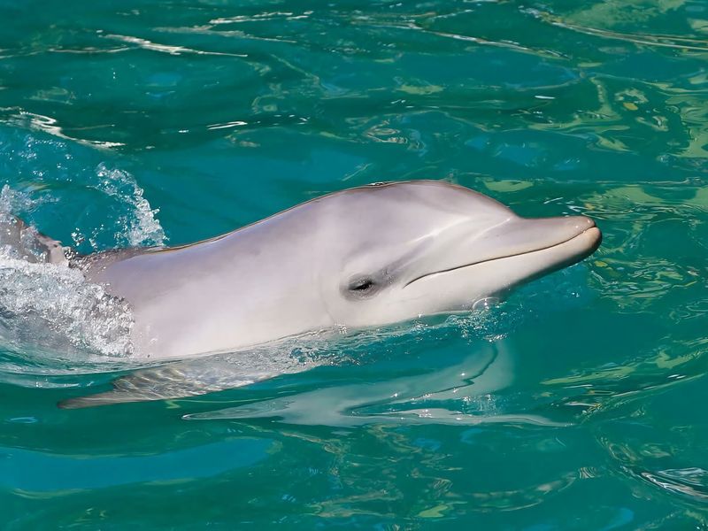 Seashells Sweet Retreat 450m walk to CBD