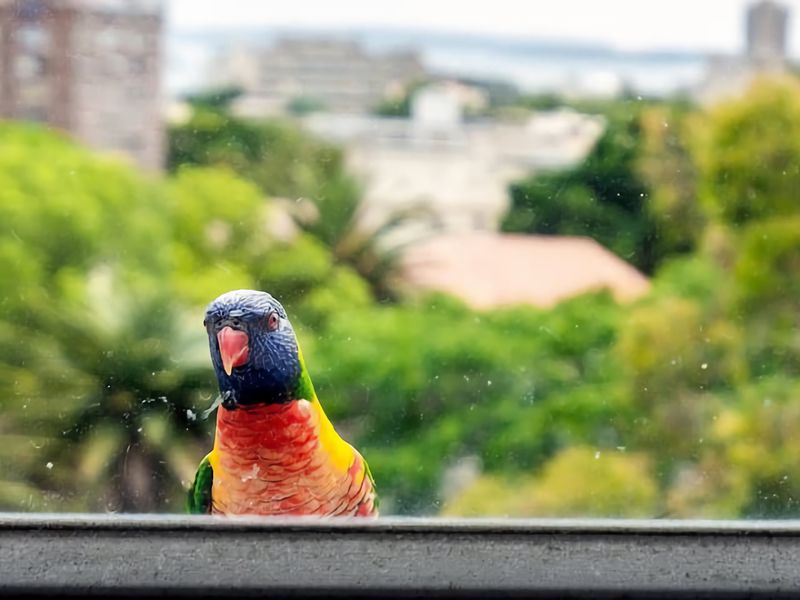 City Stay with Stunning Views Free Parking