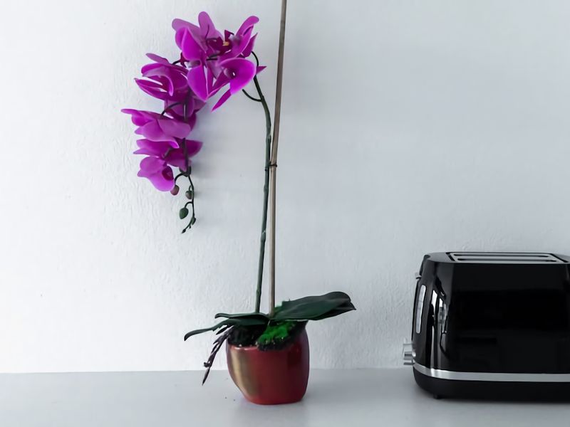 City Stay with Stunning Views Free Parking