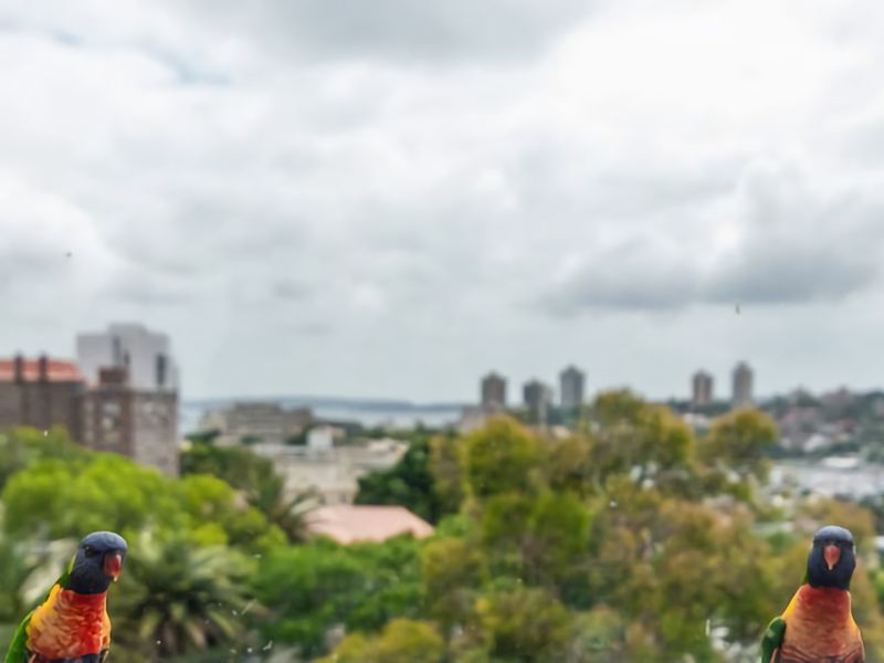 City Stay with Stunning Views Free Parking