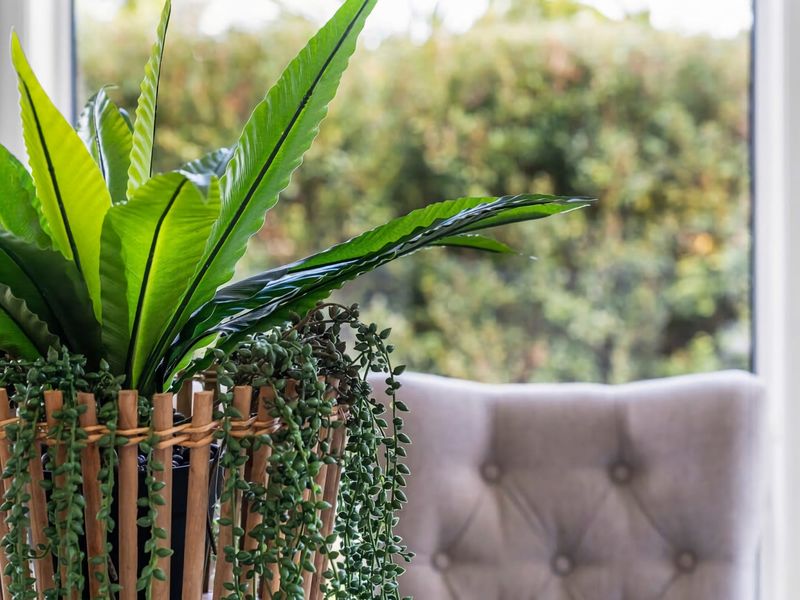 Exclusive Luxury Oasis Tumbi Umbi NSW