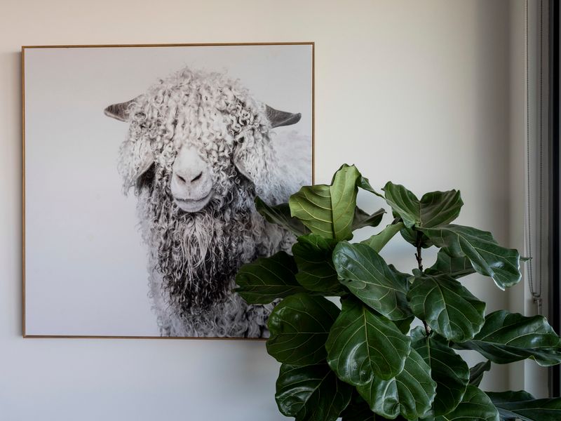 The Perch Gorgeous 3 Bedroom Penthouse