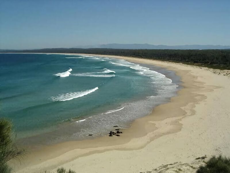 Broulee Pet Friendly Coastal Delight