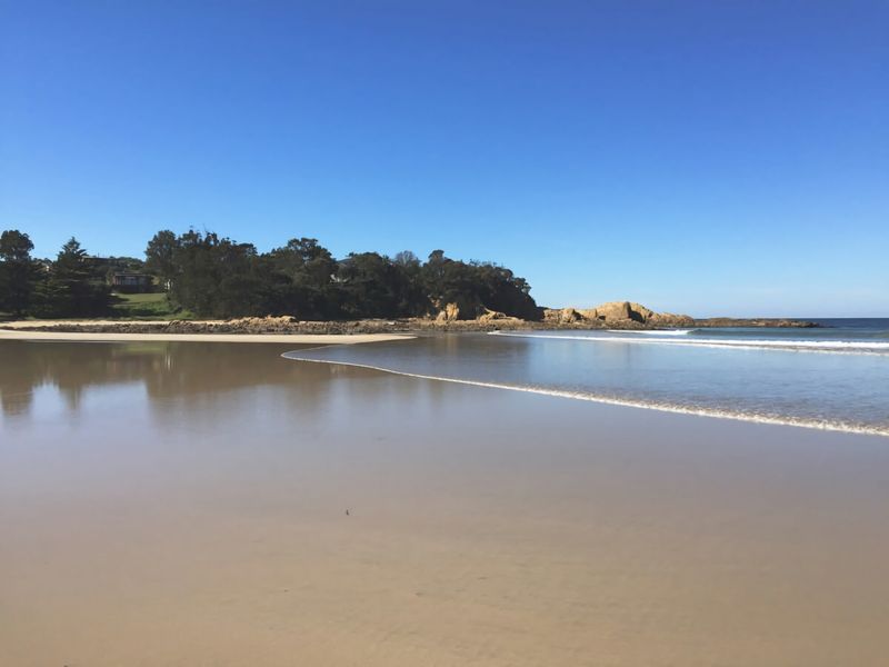 Broulee Pet Friendly Coastal Delight