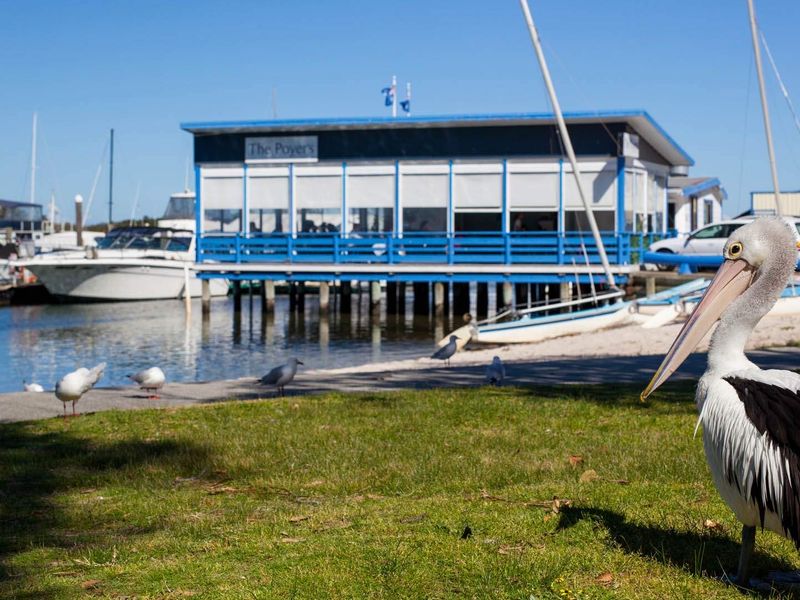 Driftwood Cottage Your Coastal Haven