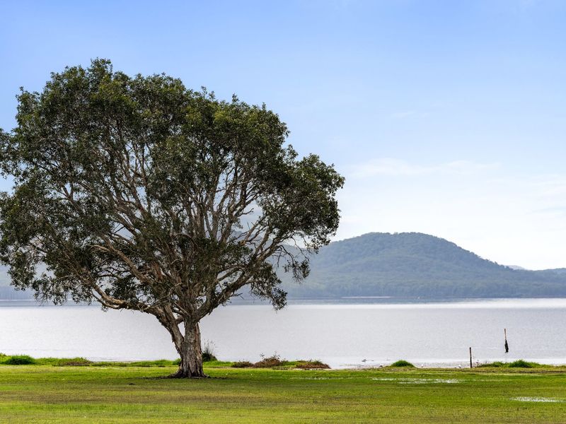 Driftwood Cottage Your Coastal Haven
