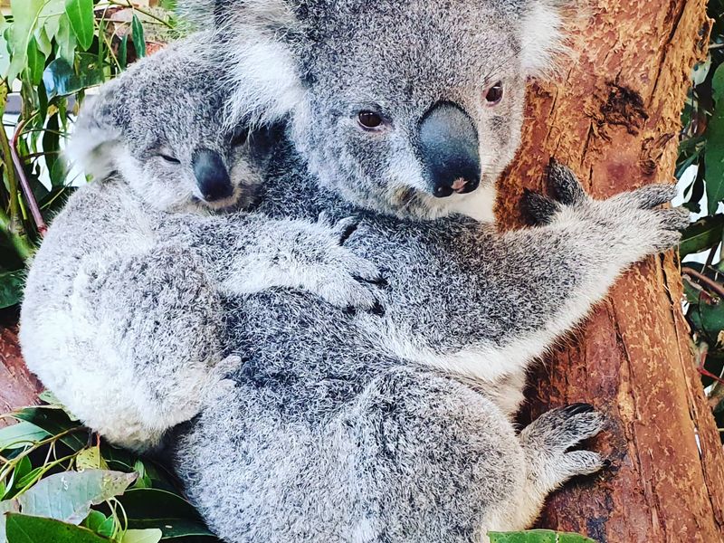 Driftwood Cottage Your Coastal Haven