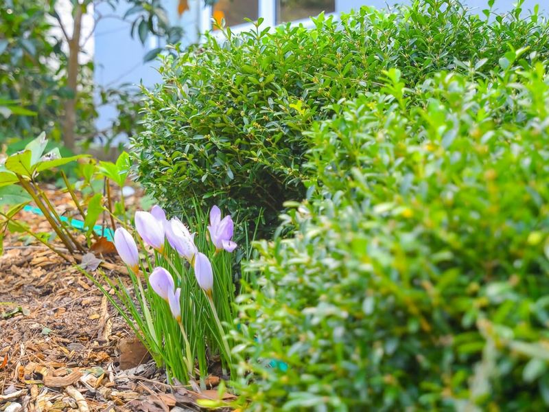 Nature Lovers Dream Hikes Fireplace